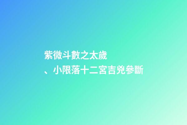 紫微斗數之太歲、小限落十二宮吉兇參斷